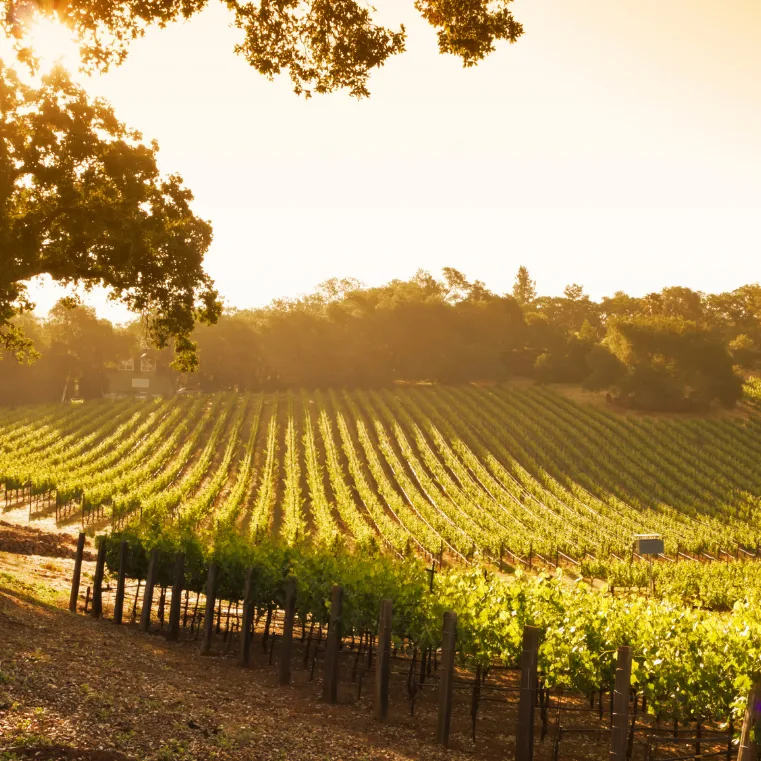 Italy -home Italy -home